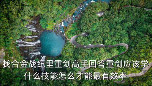 找合金战纪里重剑高手回答重剑应该学什么技能怎么才能最有效率