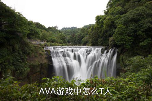 AVA游戏中怎么T人