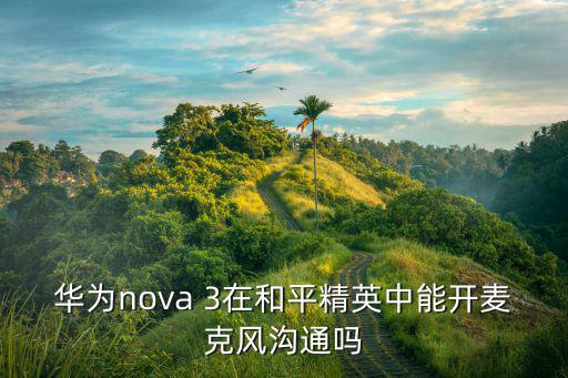 华为nova 3在和平精英中能开麦克风沟通吗