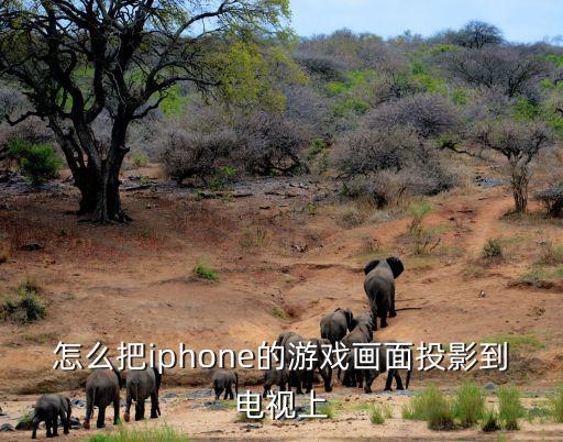 怎么把iphone的游戏画面投影到电视上