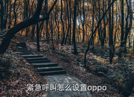 紧急呼叫怎么设置oppo