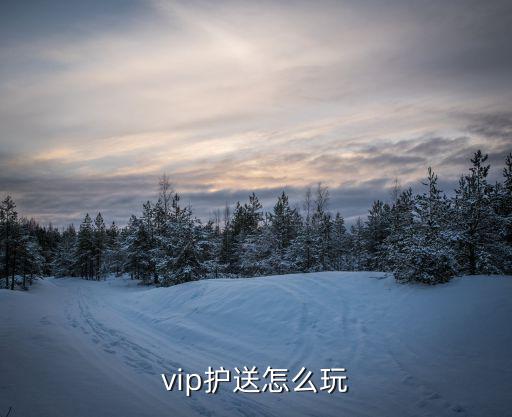 vip护送怎么玩