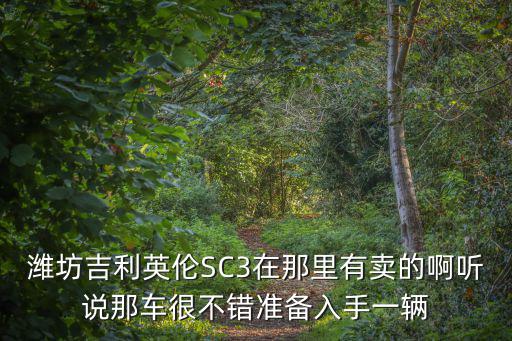 潍坊吉利英伦SC3在那里有卖的啊听说那车很不错准备入手一辆