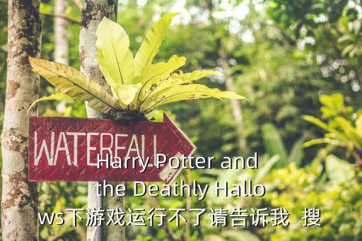 Harry Potter and the Deathly Hallows下游戏运行不了请告诉我  搜