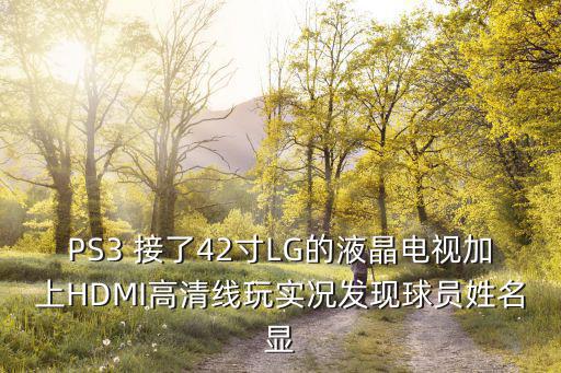 PS3 接了42寸LG的液晶电视加上HDMI高清线玩实况发现球员姓名显