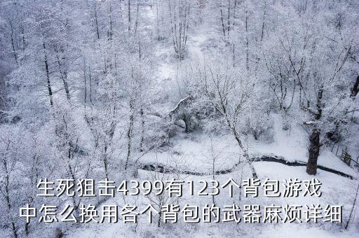 生死狙击4399有123个背包游戏中怎么换用各个背包的武器麻烦详细