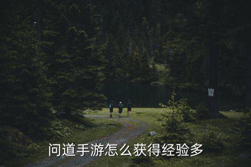 问道手游旧版本怎么获得代理权，问道手游各个版本