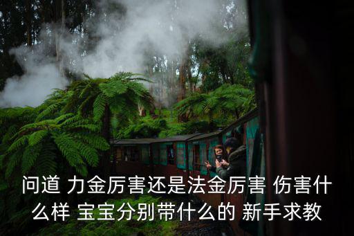 问道 力金厉害还是法金厉害 伤害什么样 宝宝分别带什么的 新手求教