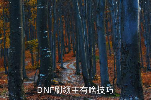 DNF刷领主有啥技巧