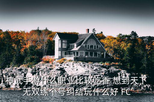 神武手游什么职业比较吃香 想到天下无双练个号纠结玩什么好 FC