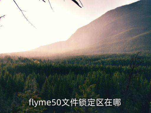 flyme50文件锁定区在哪