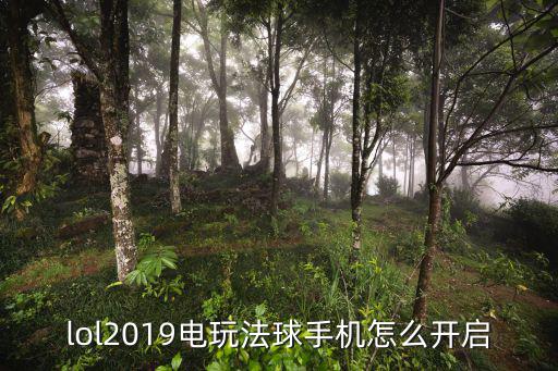 lol2019电玩法球手机怎么开启