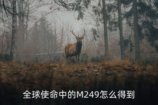 全球使命中的M249怎么得到