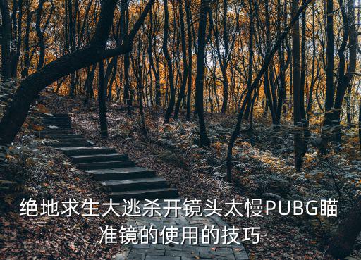 绝地求生大逃杀开镜头太慢PUBG瞄准镜的使用的技巧