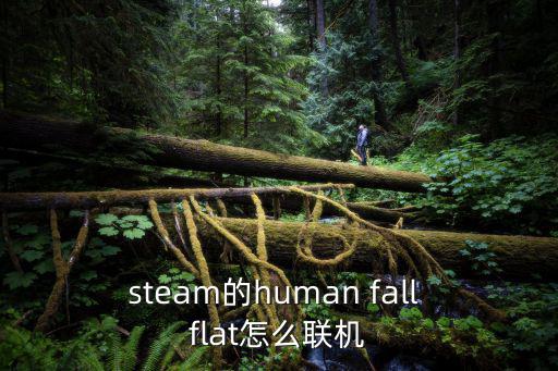 steam的human fall flat怎么联机