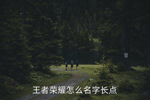 王者荣耀怎么名字长点