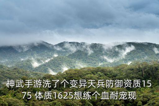 神武手游洗了个变异天兵防御资质1575 体质1625想练个血耐宠现