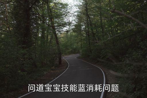 问道宝宝技能蓝消耗问题