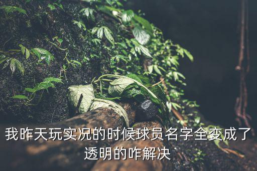 我昨天玩实况的时候球员名字全变成了透明的咋解决