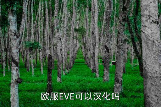 欧服EVE可以汉化吗