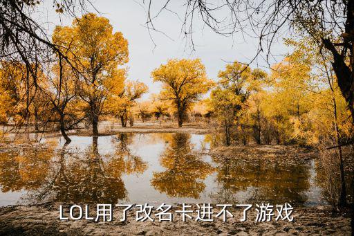 手游lol改名字怎么进不去，LOL用了改名卡进不了游戏