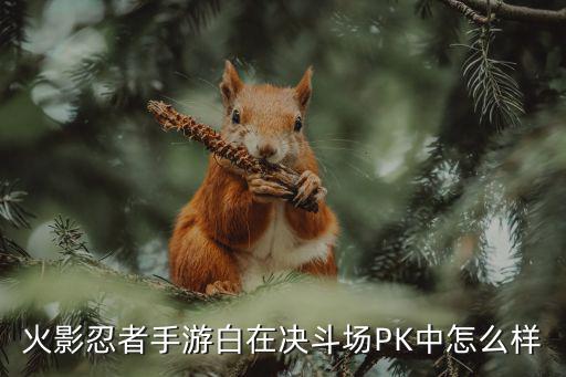 火影忍者手游白在决斗场PK中怎么样