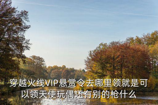 穿越火线VIP悬赏令去哪里领就是可以领天使玩偶还有别的枪什么