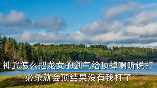 神武怎么把龙女的剑气给顶掉啊听说打必杀就会顶结果没有我打了