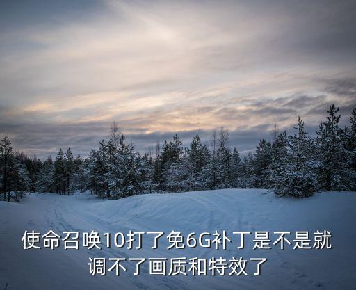 使命召唤手游怎么修改画质文件，使命召唤10打了免6G补丁是不是就调不了画质和特效了