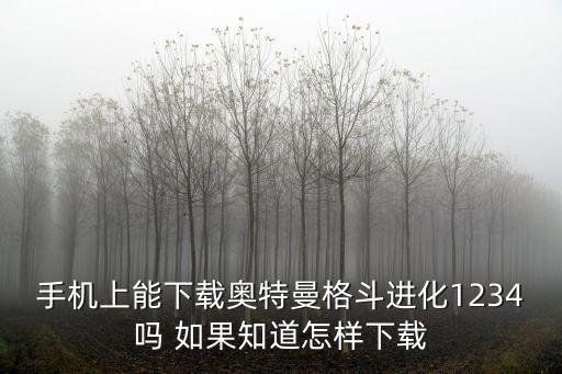 手机上能下载奥特曼格斗进化1234吗 如果知道怎样下载