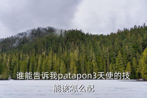 谁能告诉我patapon3天使的技能该怎么配