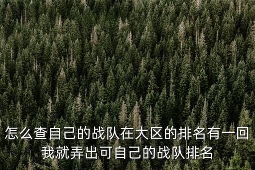 怎么查自己的战队在大区的排名有一回我就弄出可自己的战队排名