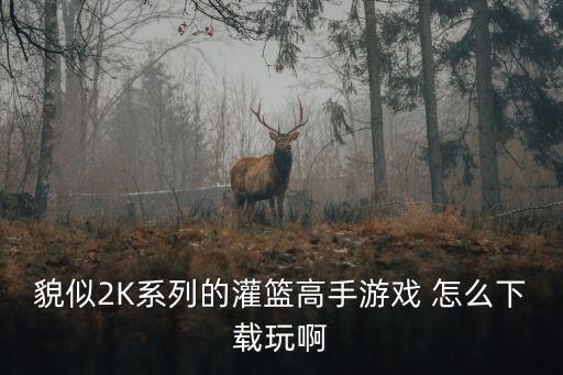 貌似2K系列的灌篮高手游戏 怎么下载玩啊