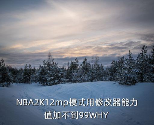 NBA2K12mp模式用修改器能力值加不到99WHY