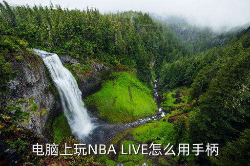 电脑上玩NBA LIVE怎么用手柄