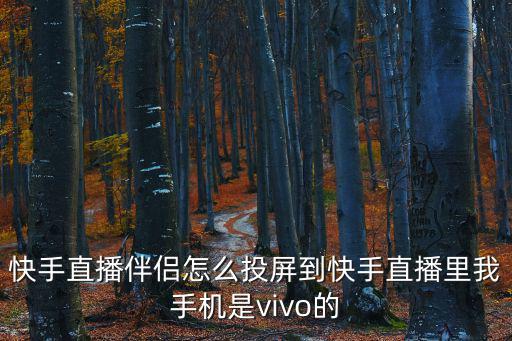 快手直播伴侣怎么投屏到快手直播里我手机是vivo的