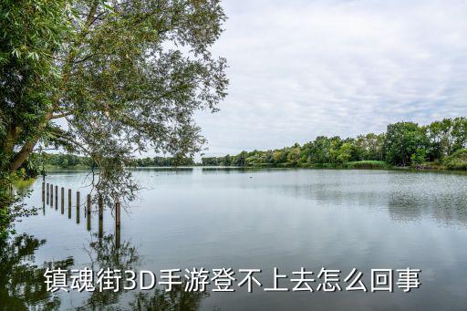 镇魂街3D手游登不上去怎么回事