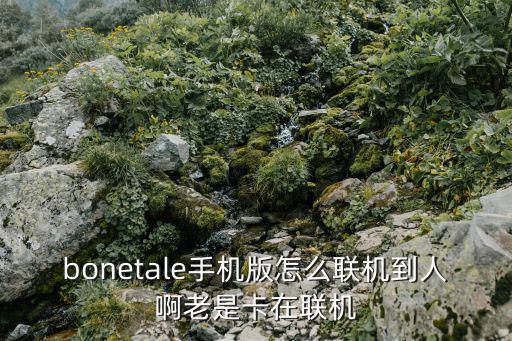 bonetale手机版怎么联机到人啊老是卡在联机