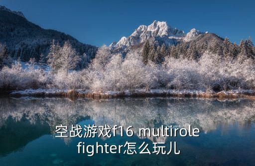 空战游戏f16 multirole fighter怎么玩儿