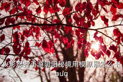 火影忍者手游阴阳秘境用模拟器怎么卡bug