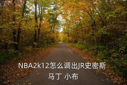 NBA2k12怎么调出JR史密斯 马丁 小布