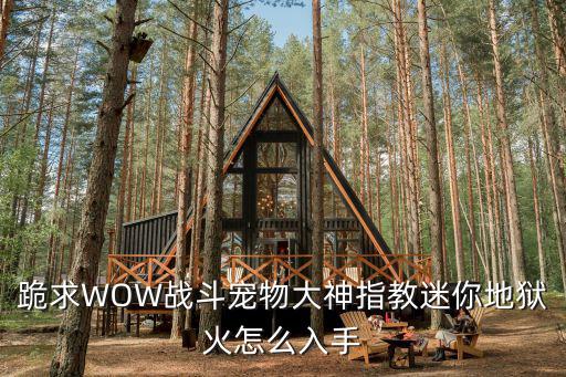 跪求WOW战斗宠物大神指教迷你地狱火怎么入手