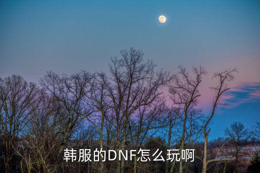 韩服dnf手游怎么打金团，韩服地下城教程