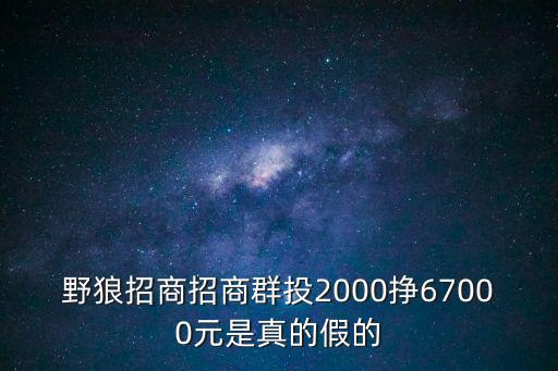 野狼招商招商群投2000挣67000元是真的假的