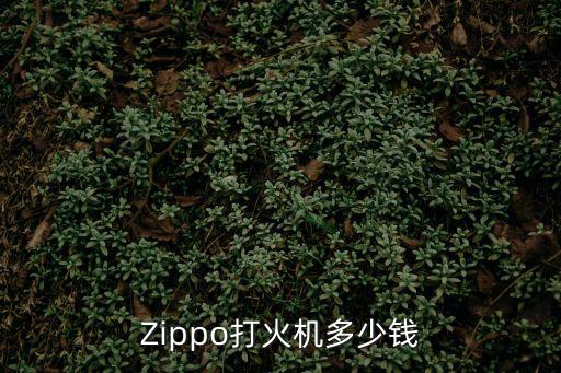 天刀手游怎么出金蝴蝶，Zippo打火机多少钱