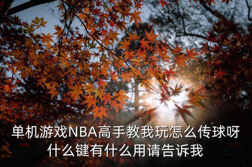 单机游戏NBA高手教我玩怎么传球呀什么键有什么用请告诉我