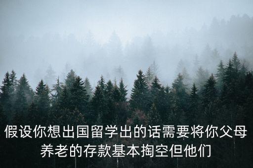 假设你想出国留学出的话需要将你父母养老的存款基本掏空但他们