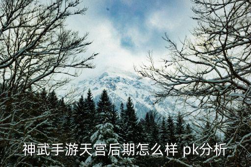 神武手游天宫后期怎么样 pk分析