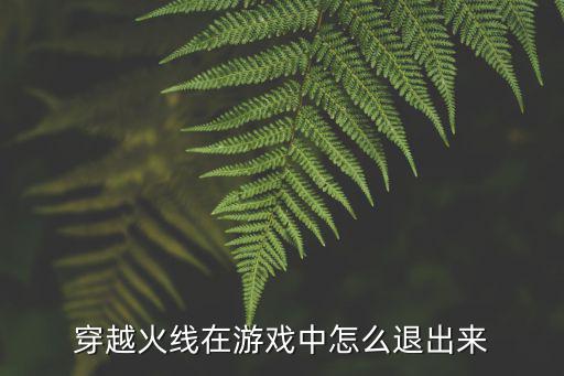 穿越火线在游戏中怎么退出来