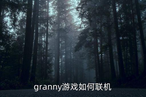 granny游戏如何联机